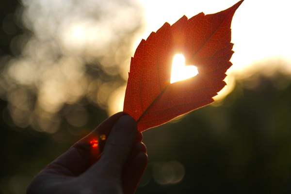 October: A Month of Meaning